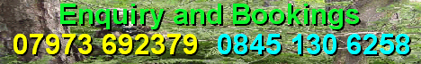 contact number telephone details