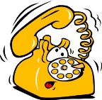 contact telephone number